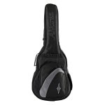 Alvarez RD26L Acoustikh kithara Zaranikas 2 1
